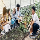 Growing Careers: Using School Gardens to Help Promote Career Development
